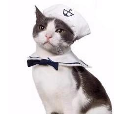 Dailypets Classic Navy Cat Sailor Outfit with Anchor Hat and Matching Collar