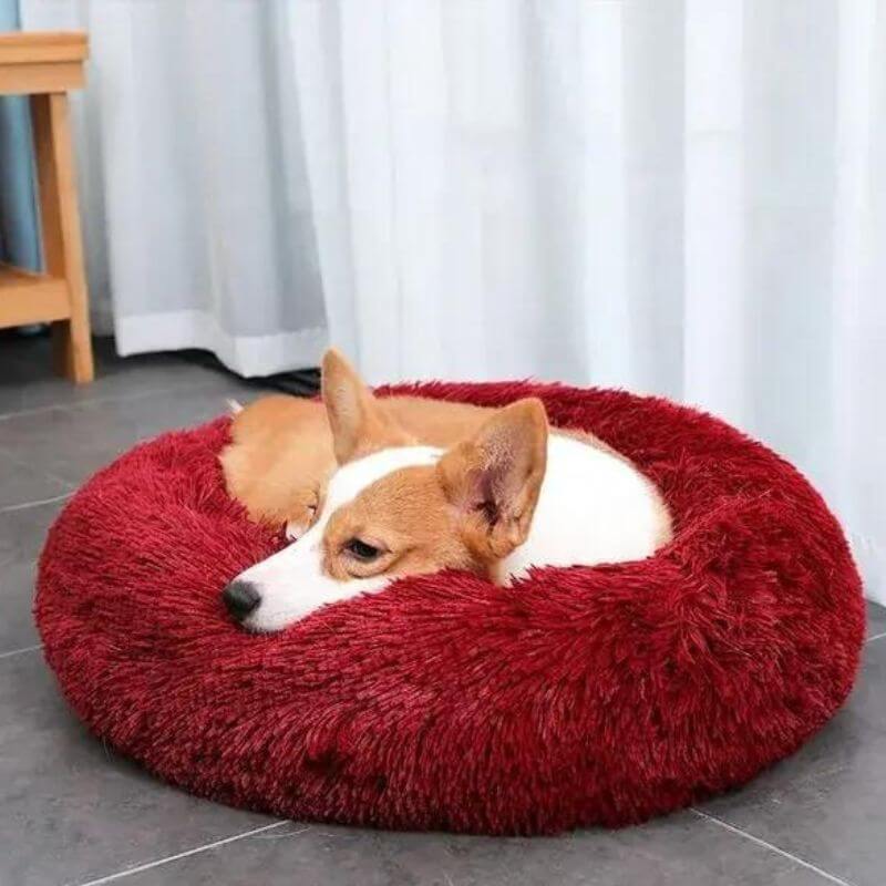 Dailypets Anxiety Relieving Dog Bed, Fluffy Donut Bed with Anti-Slip Bottom