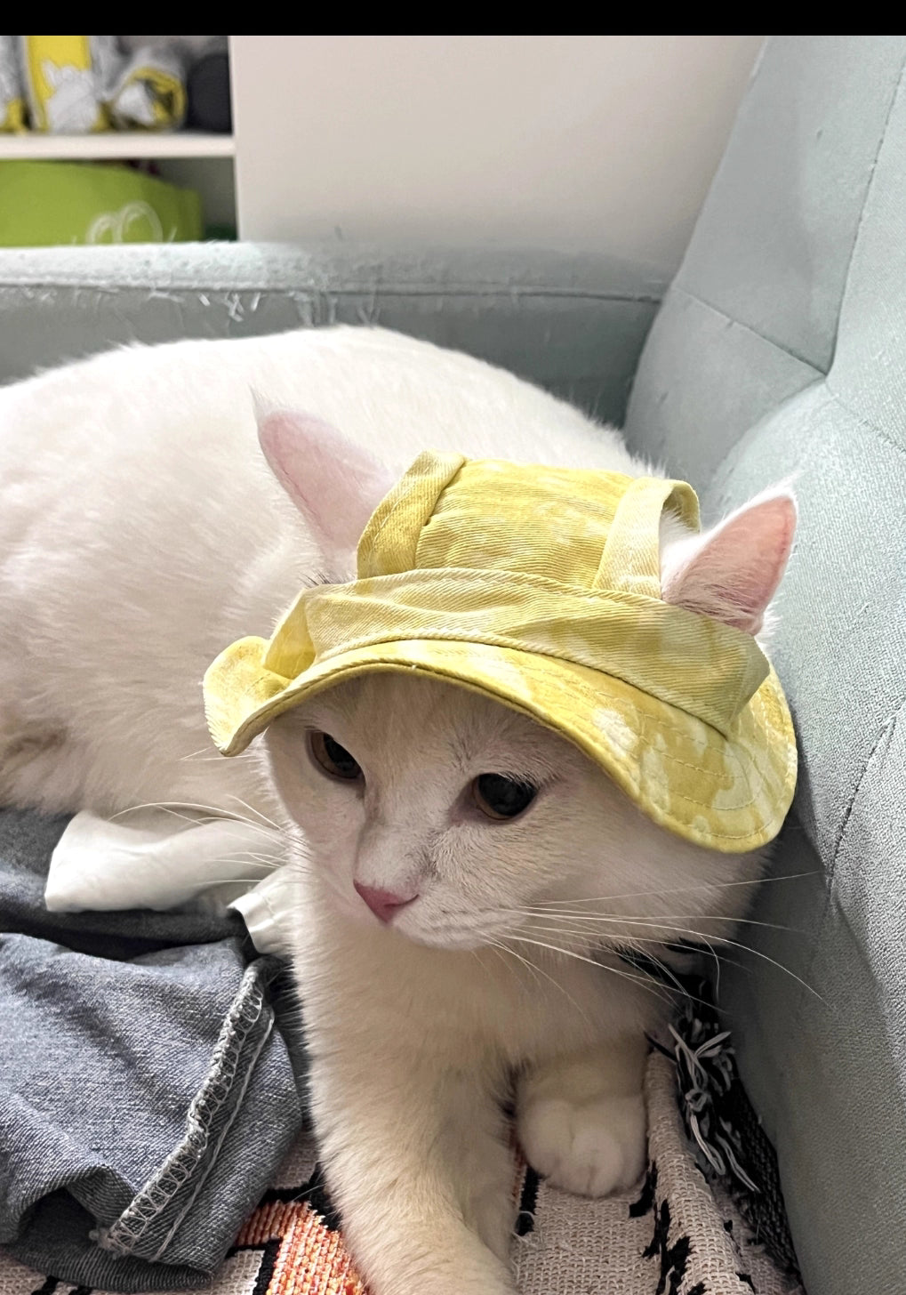 Dailypets Summer Sun Hat for Cats with Adjustable Chin Strap