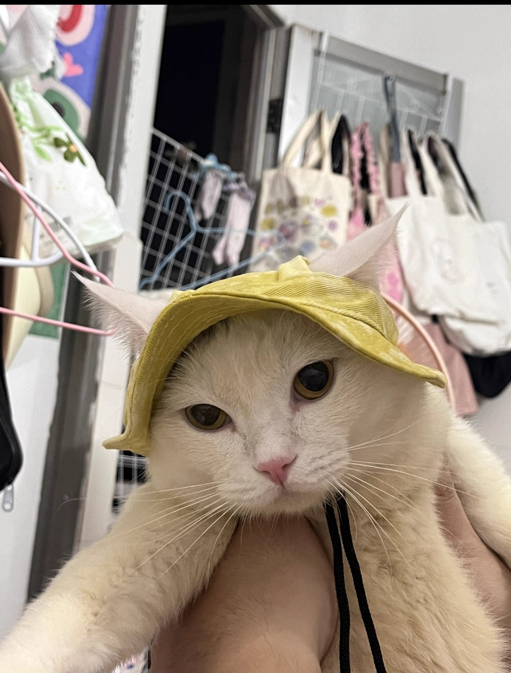 Dailypets Summer Sun Hat for Cats with Adjustable Chin Strap