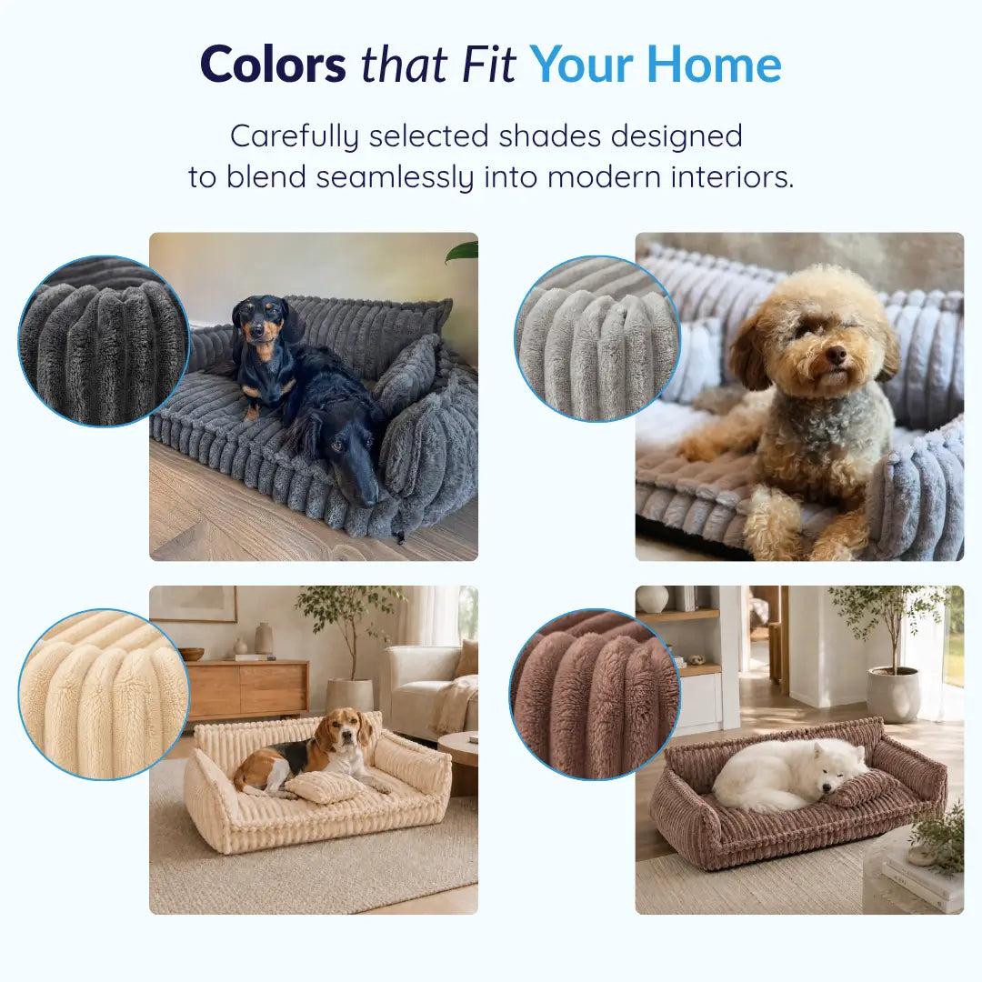 Dailypets Plush Dog Couch Bed, Washable Sofa Lounger for Cozy Indoor Rest