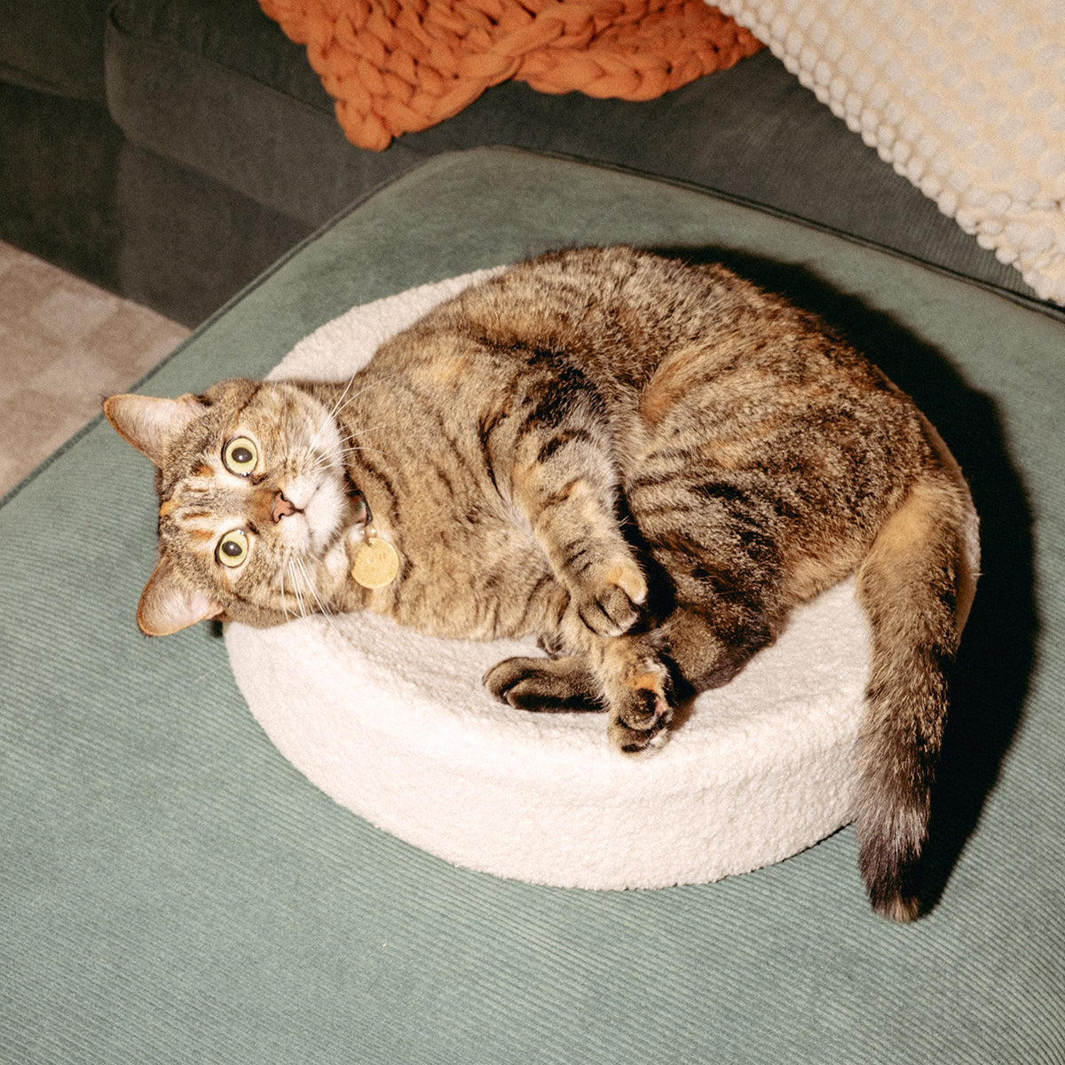 Dailypets Soft Cat Nest Bed – Faux Shearling Round Cushion