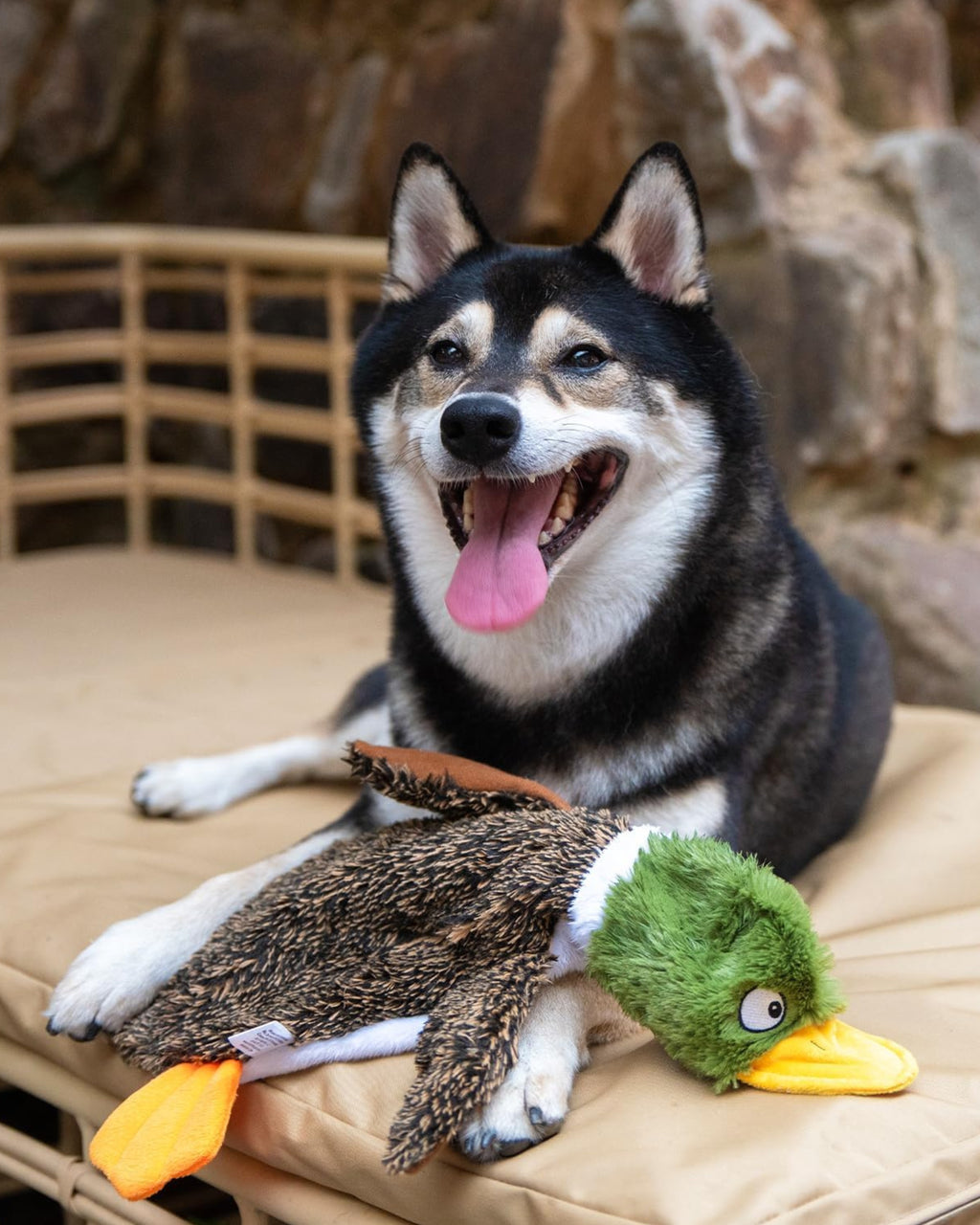 Poupipets Stuffless Wild Duck Plush Dog Toy with Dual Squeakers for Interactive Play