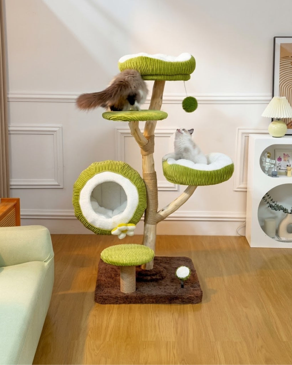Poupipets Natural Wood Cat Tree with Coconut Cat Bed and Multi-Level Climbing Platforms