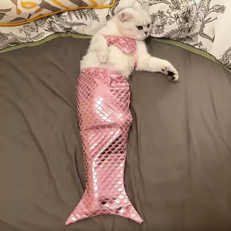 Dailypets Mermaid Cat Costume with Fish Scale Design and Matching Hair Bow