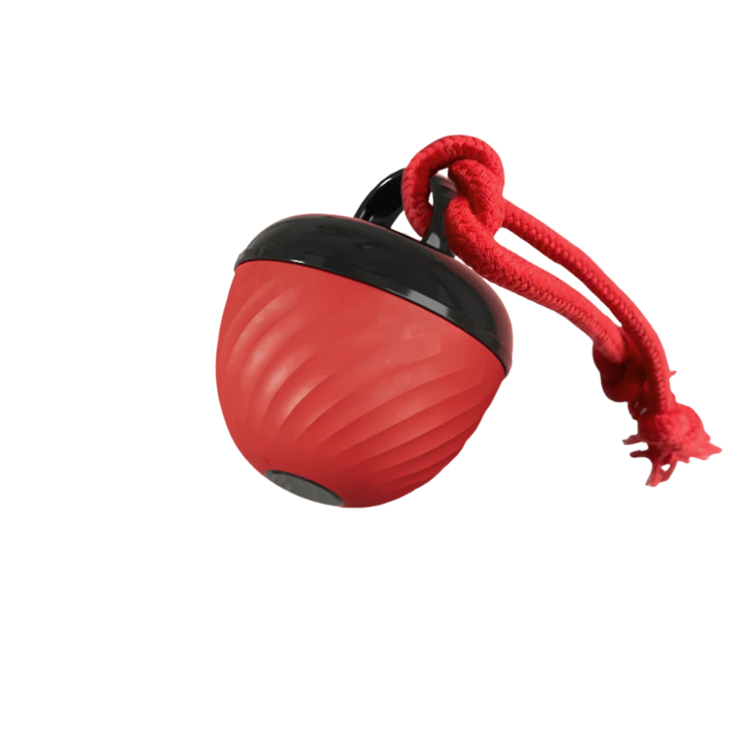 Dailypets Automatic Moving Ball for Pets with USB Rechargeable Interactive Play Fun