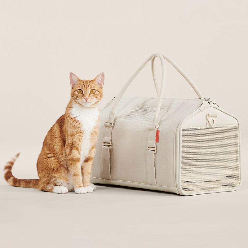 Dailypets Porto Travel Carrier for Cats & Small Pets