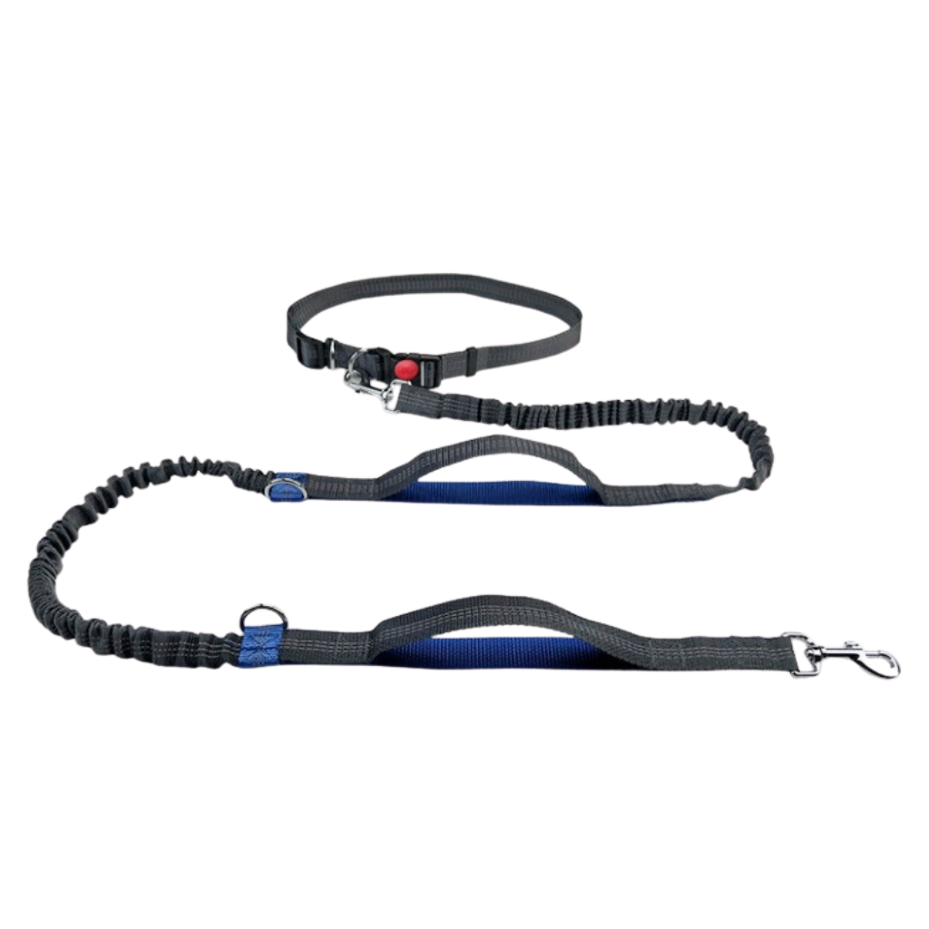 Dailypets Hands-Free Bungee Dog Leash with Adjustable Waist Belt for Walking and Running