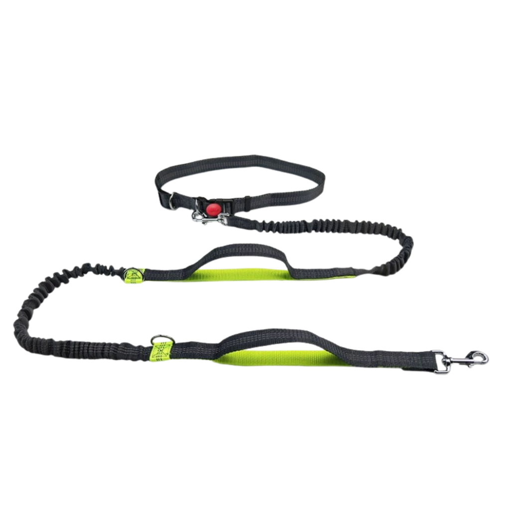 Dailypets Hands-Free Bungee Dog Leash with Adjustable Waist Belt for Walking and Running