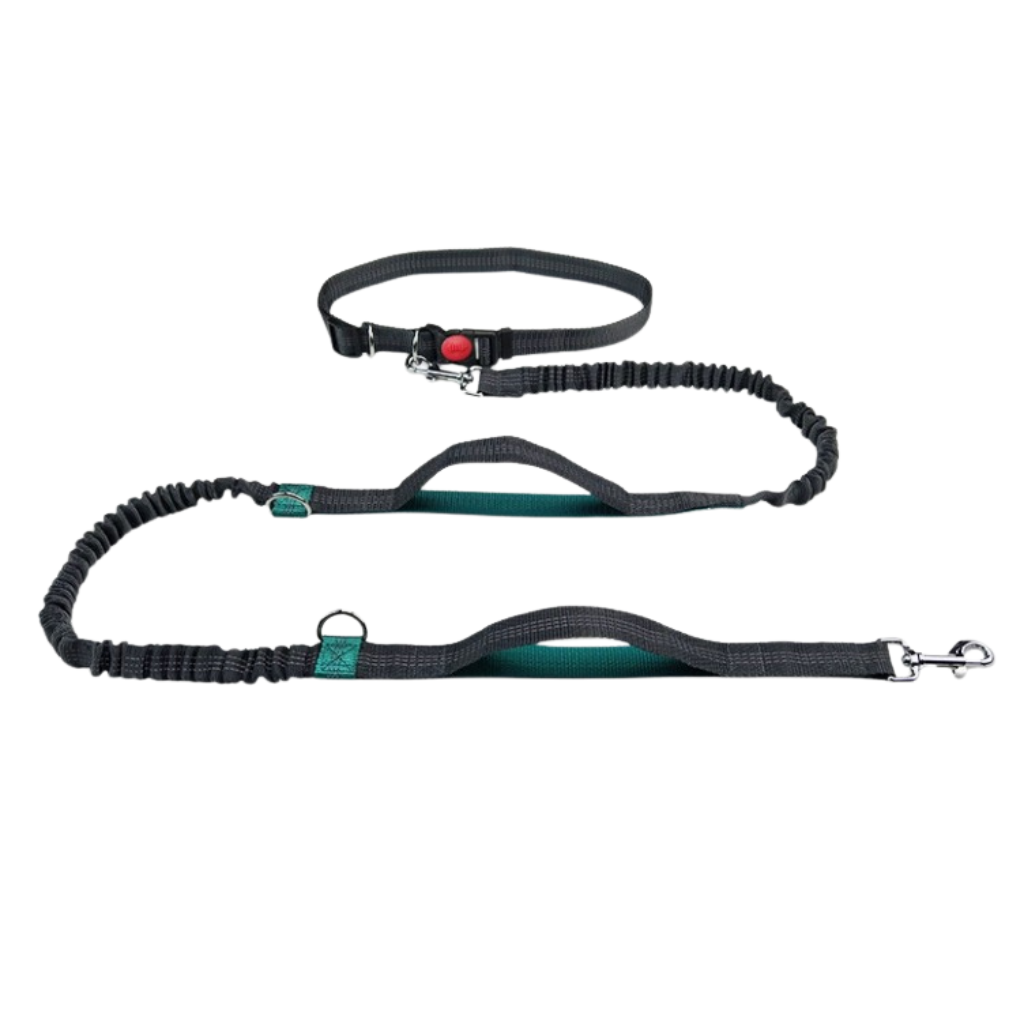 Dailypets Hands-Free Bungee Dog Leash with Adjustable Waist Belt for Walking and Running