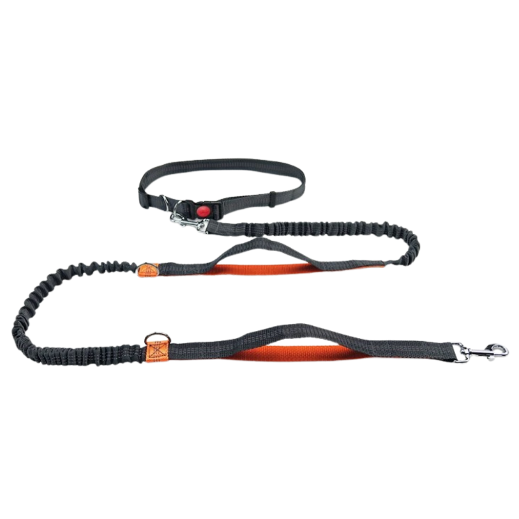 Dailypets Hands-Free Bungee Dog Leash with Adjustable Waist Belt for Walking and Running