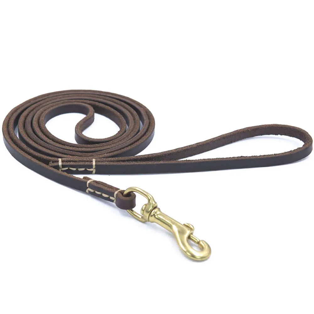 Dailypets Handmade Genuine Leather Pet Leash for Puppies and Cats with Metal Clip
