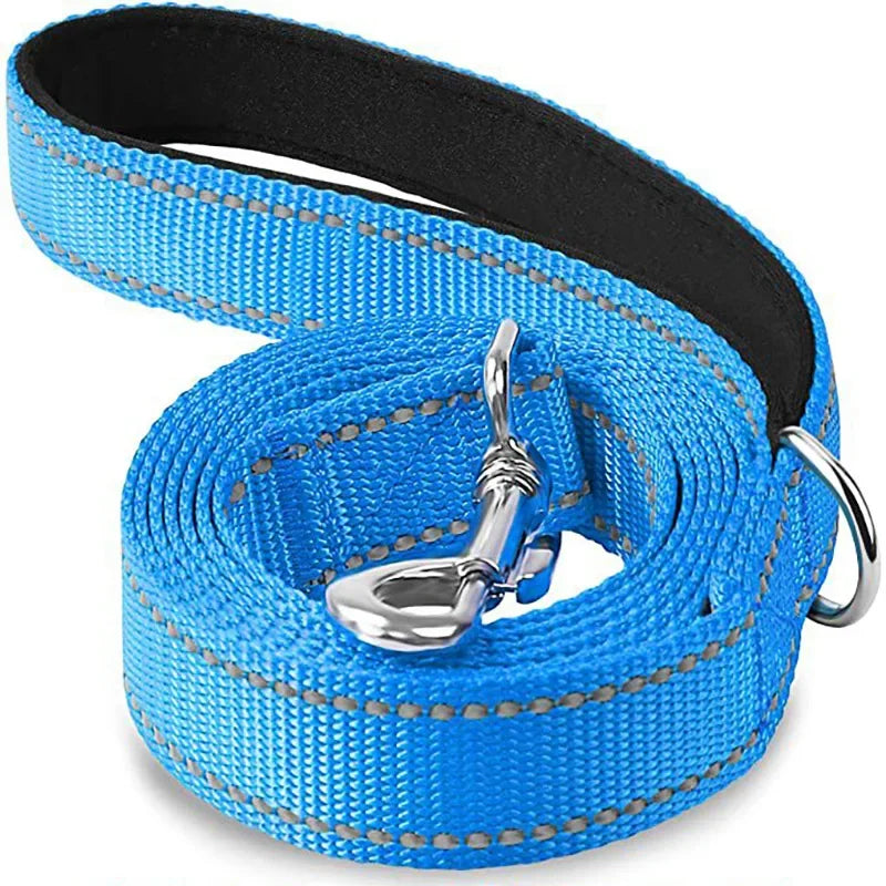 Dailypets Reflective Nylon Dog Leash with Comfortable Grip for Safe Day and Night Walks