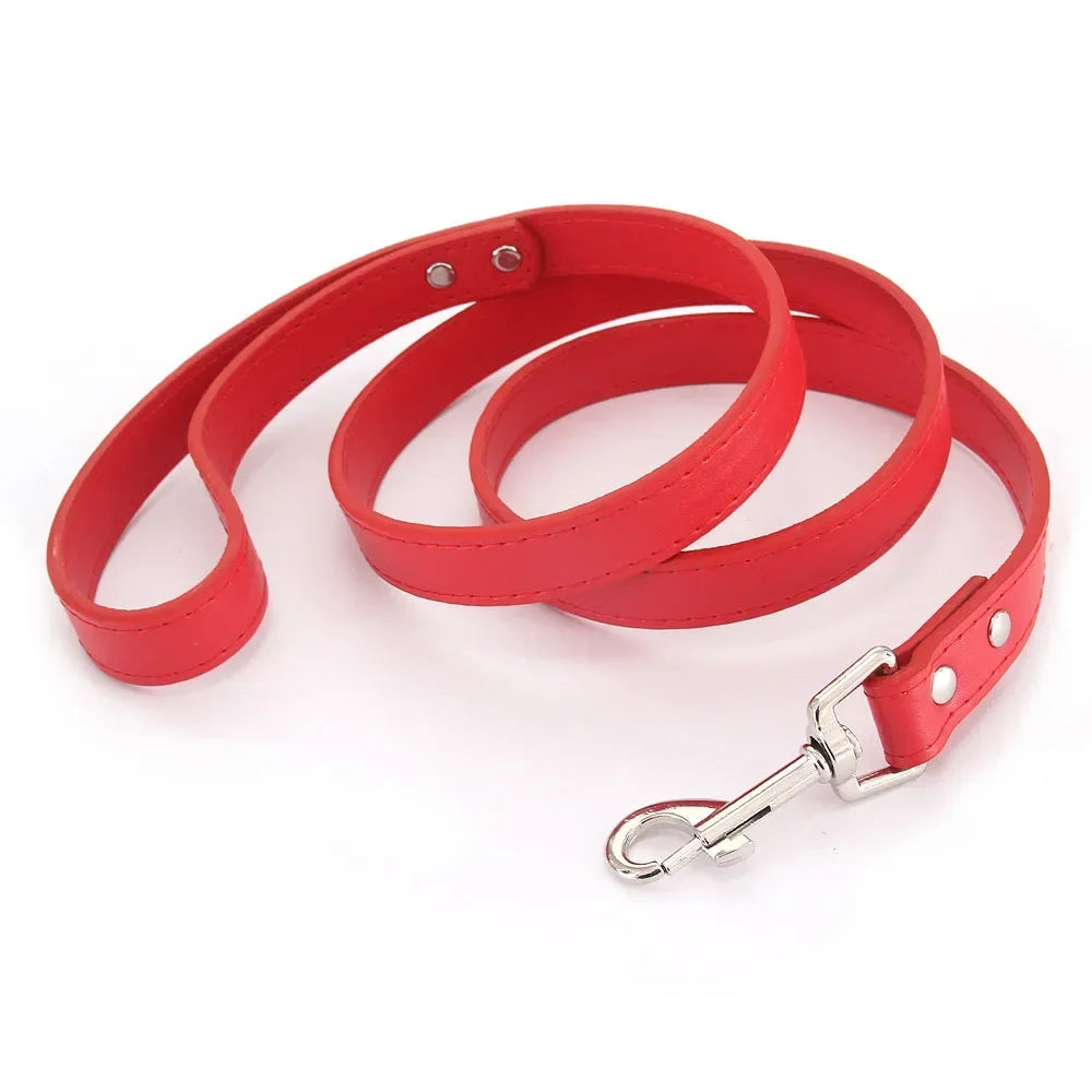 Dailypets Soft PU Leather Dog Leash with Alloy Hook for Everyday Walks and Training