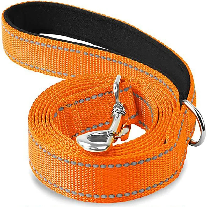 Dailypets Reflective Nylon Dog Leash with Comfortable Grip for Safe Day and Night Walks