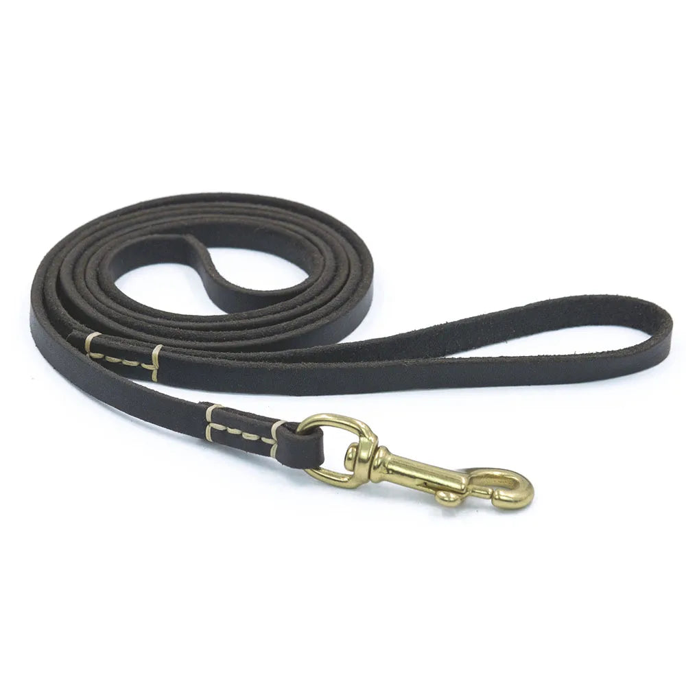 Dailypets Handmade Genuine Leather Pet Leash for Puppies and Cats with Metal Clip