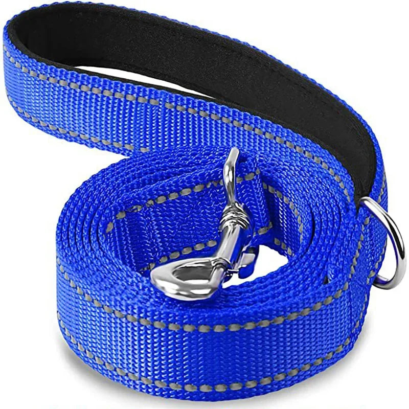 Dailypets Reflective Nylon Dog Leash with Comfortable Grip for Safe Day and Night Walks