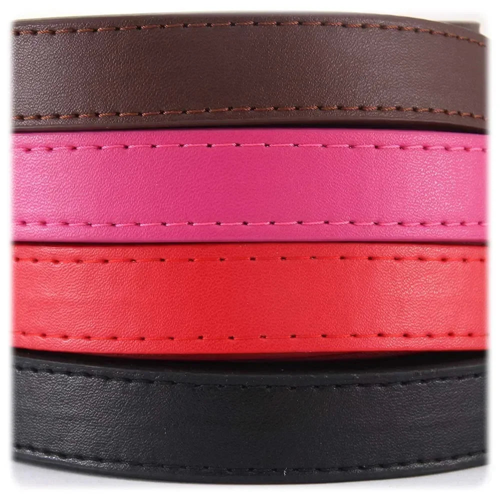Dailypets Soft PU Leather Dog Leash with Alloy Hook for Everyday Walks and Training