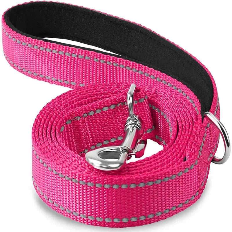 Dailypets Reflective Nylon Dog Leash with Comfortable Grip for Safe Day and Night Walks