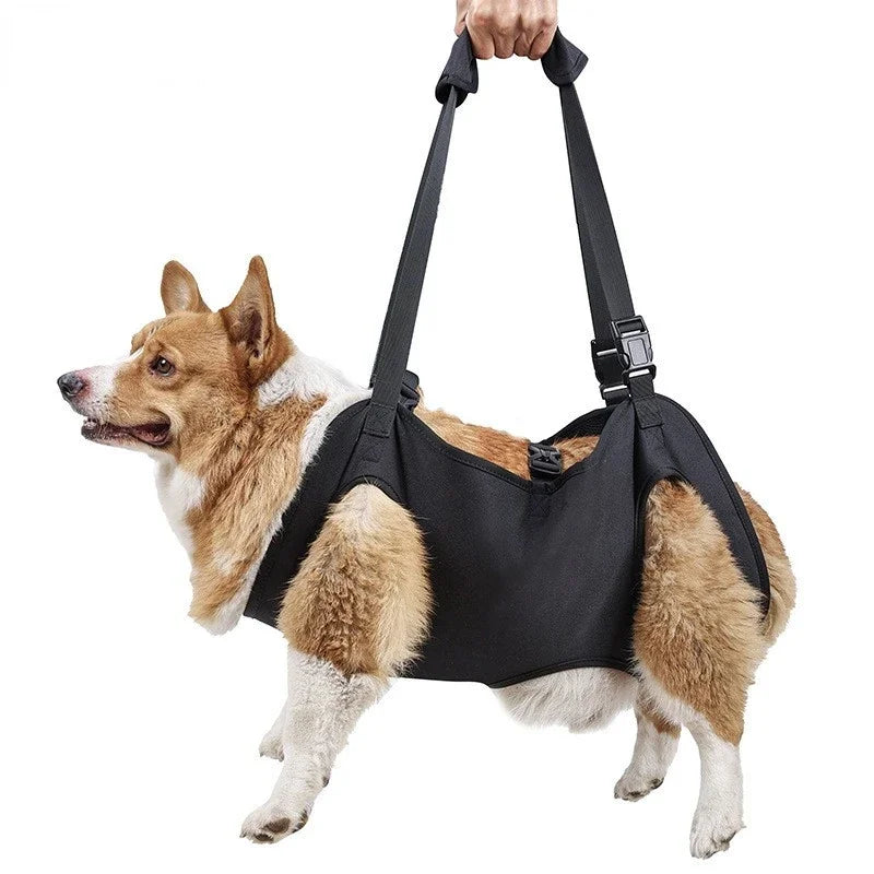 Dailypets Adjustable Dog Support Sling for Walking Assistance and Everyday Mobility