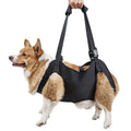 Dailypets Adjustable Dog Support Sling for Walking Assistance and Everyday Mobility