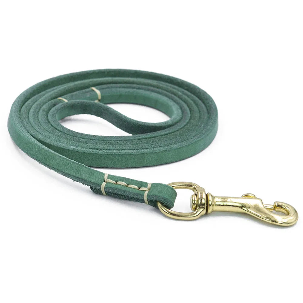 Dailypets Handmade Genuine Leather Pet Leash for Puppies and Cats with Metal Clip