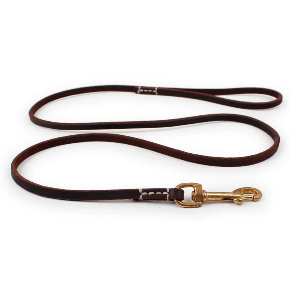 Dailypets Handmade Genuine Leather Pet Leash for Puppies and Cats with Metal Clip