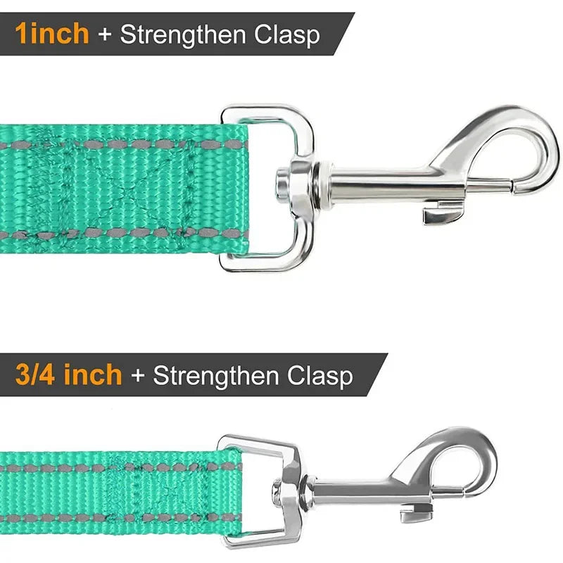 Dailypets Reflective Nylon Dog Leash with Comfortable Grip for Safe Day and Night Walks