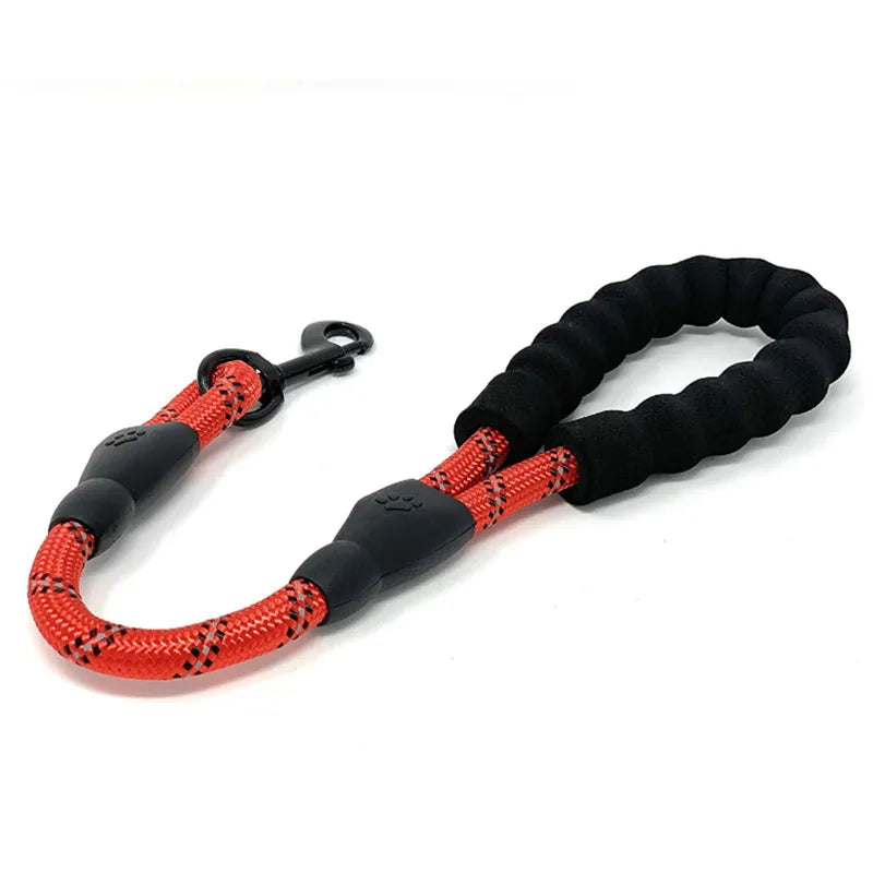 Dailypets 50 cm Heavy-Duty Dog Lead with Padded Handle for Busy Urban Walks