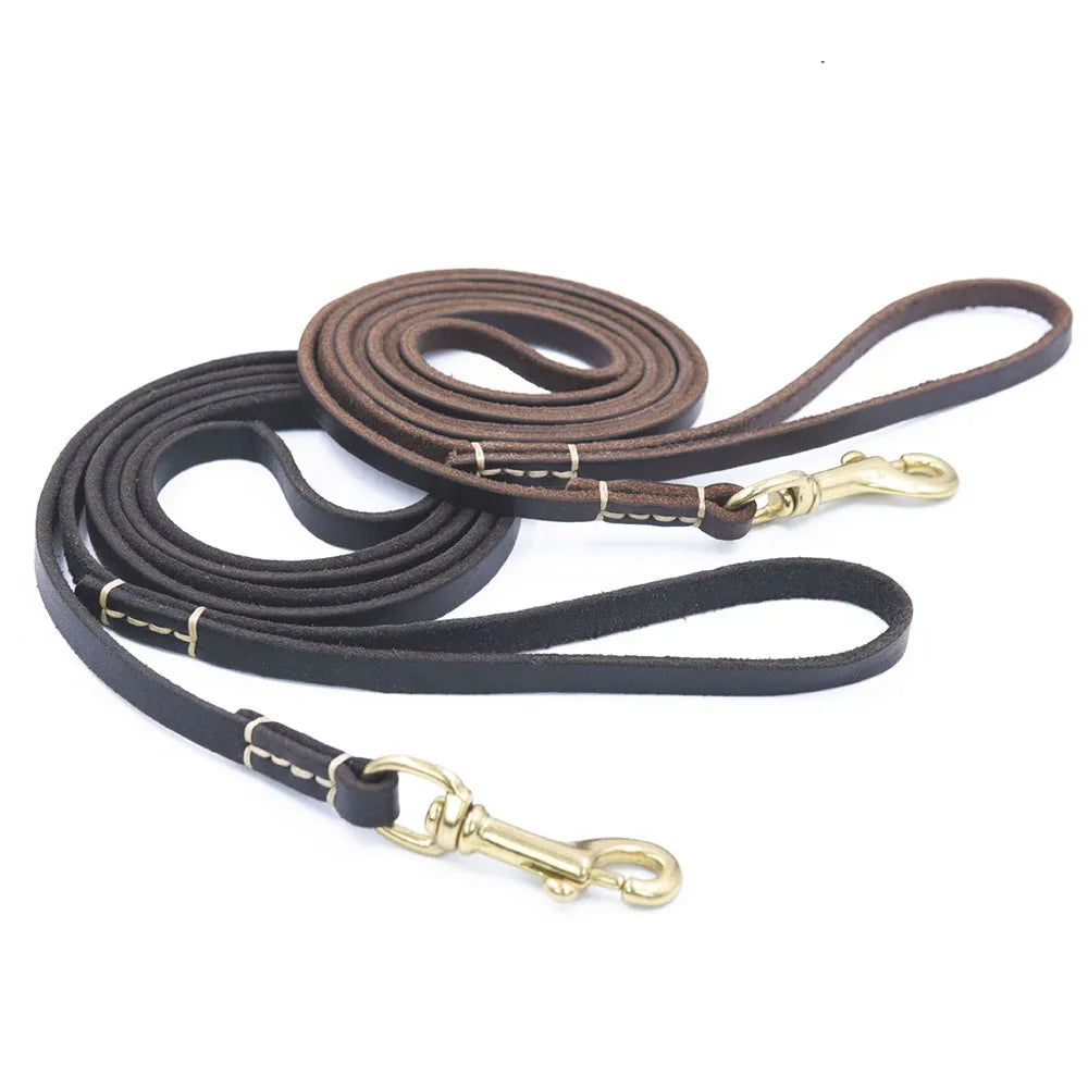 Dailypets Handmade Genuine Leather Pet Leash for Puppies and Cats with Metal Clip