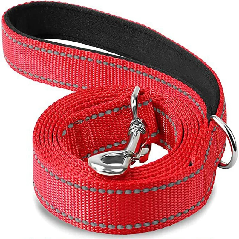 Dailypets Reflective Nylon Dog Leash with Comfortable Grip for Safe Day and Night Walks