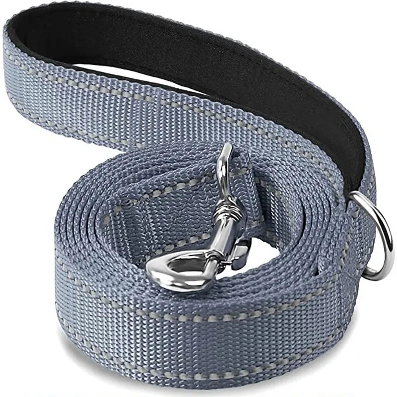 Dailypets Reflective Nylon Dog Leash with Comfortable Grip for Safe Day and Night Walks