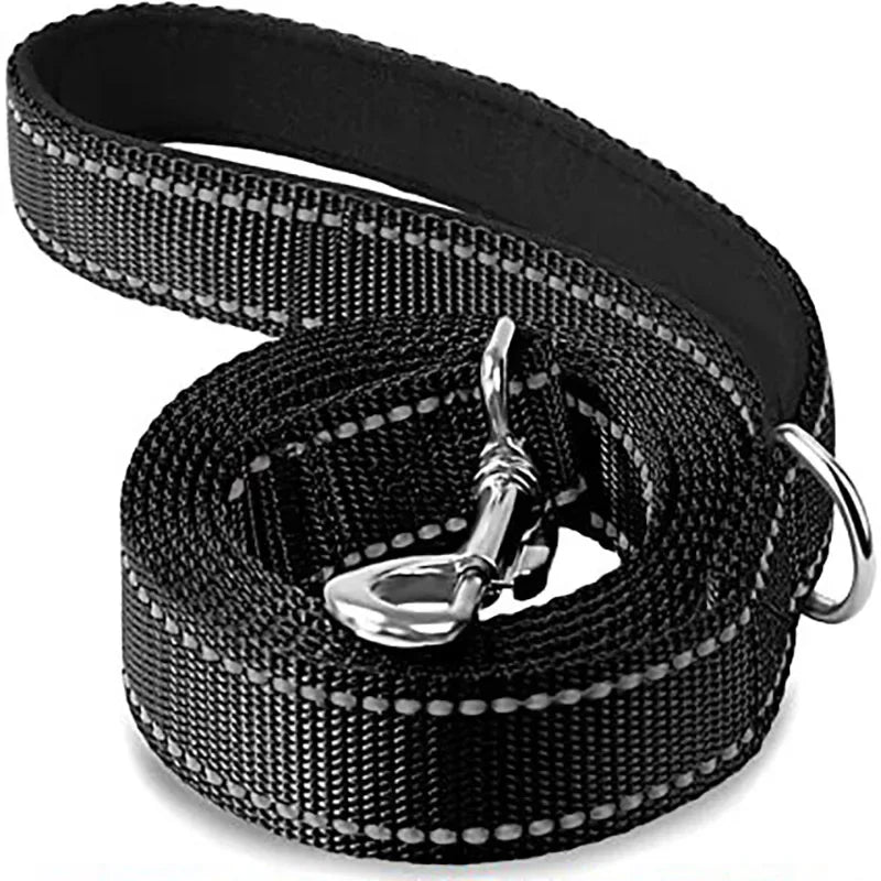 Dailypets Reflective Nylon Dog Leash with Comfortable Grip for Safe Day and Night Walks