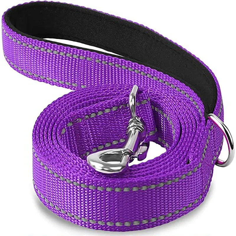 Dailypets Reflective Nylon Dog Leash with Comfortable Grip for Safe Day and Night Walks