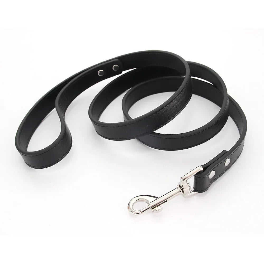 Dailypets Soft PU Leather Dog Leash with Alloy Hook for Everyday Walks and Training
