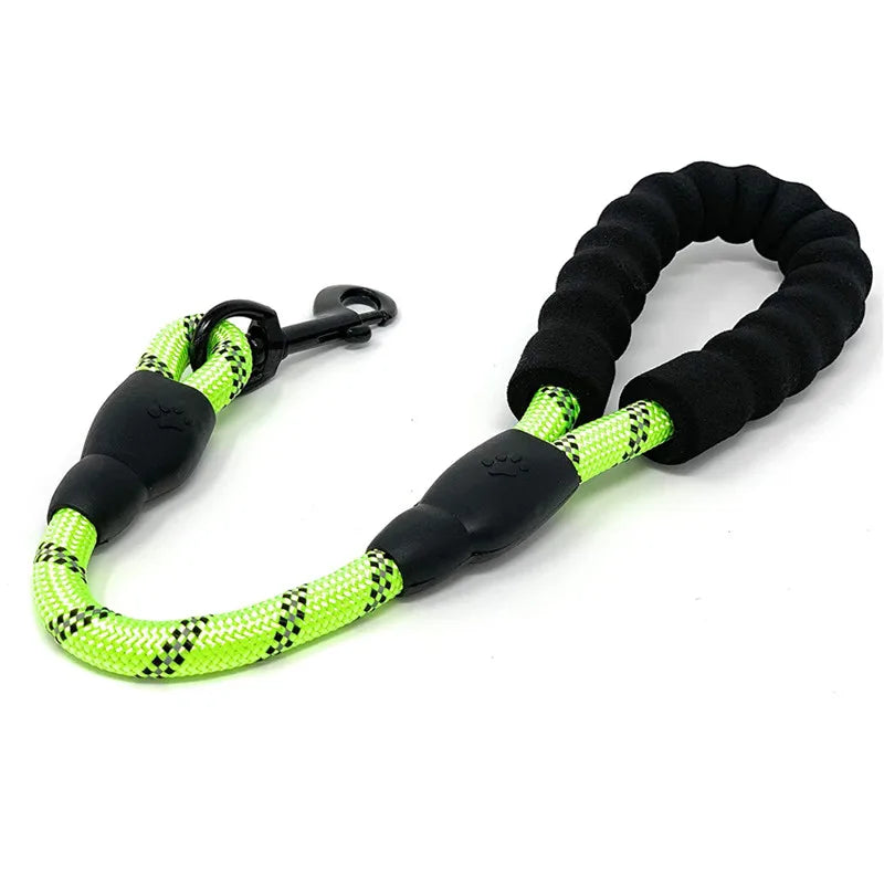 Dailypets 50 cm Heavy-Duty Dog Lead with Padded Handle for Busy Urban Walks
