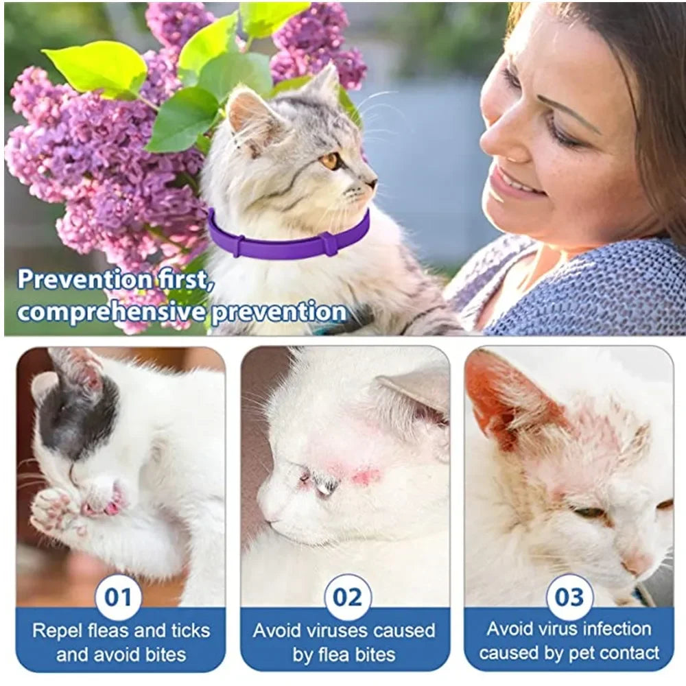 Dailypets Adjustable Flea and Tick Collar for Dogs and Cats Long-Lasting Protection