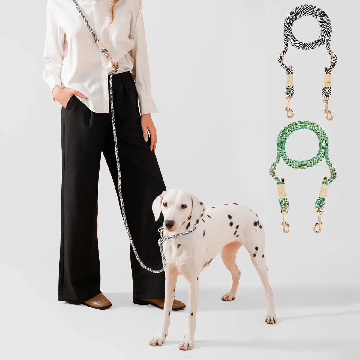 Dailypets Multi-Function Dog Leash with Hands-Free Wear and 240 cm Adjustable Length