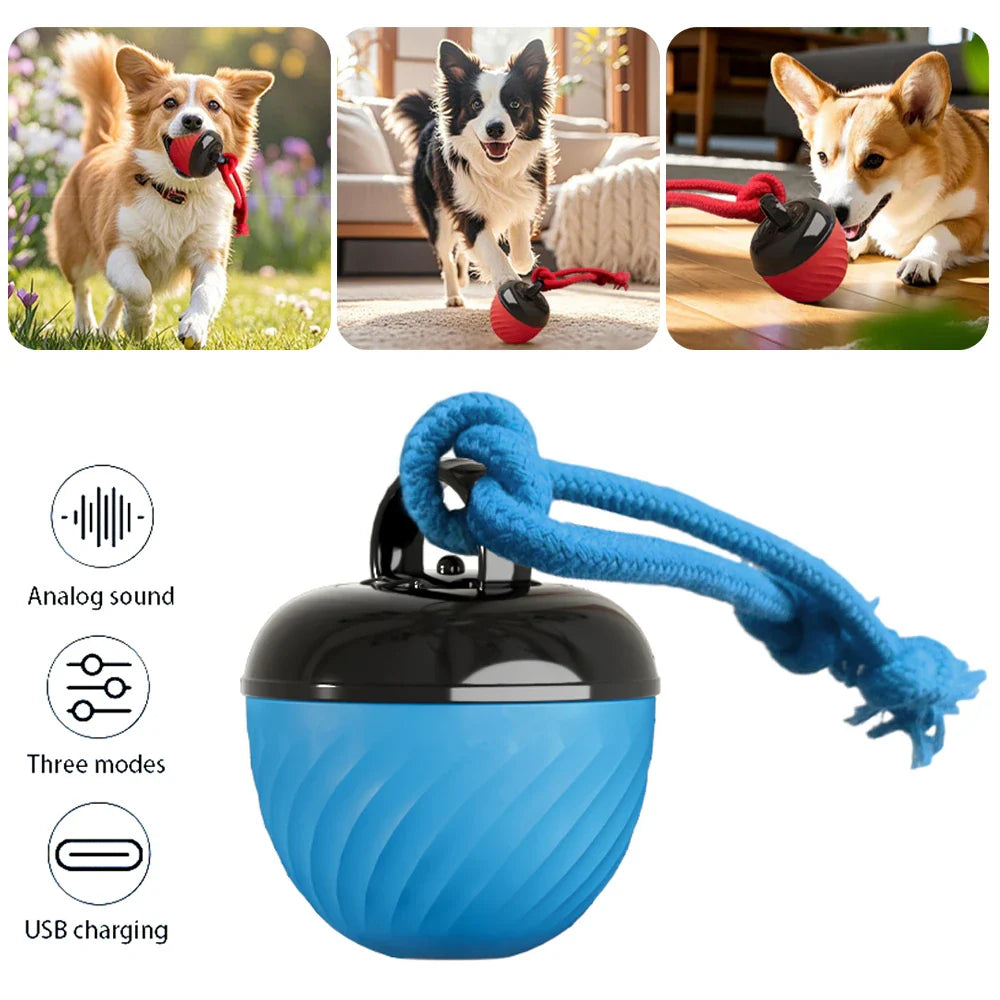 Dailypets Automatic Moving Ball for Pets with USB Rechargeable Interactive Play Fun