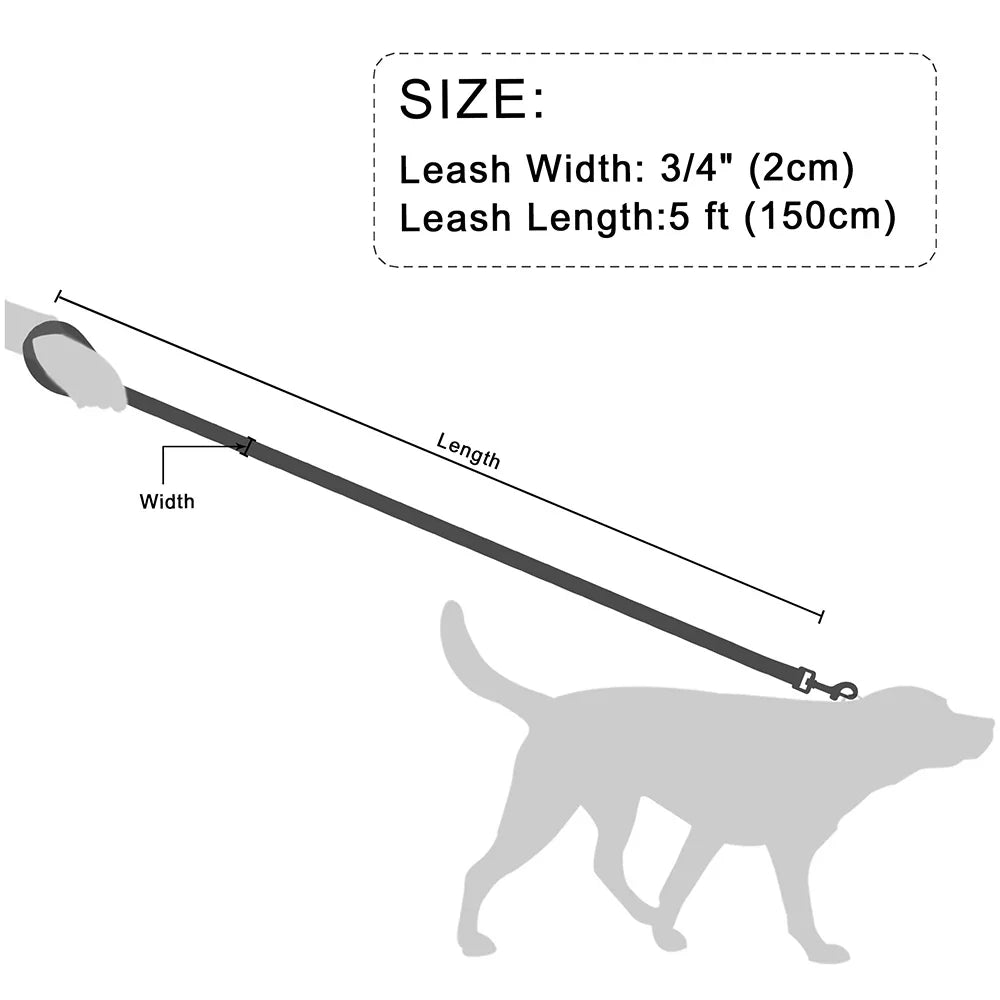 Dailypets Premium Leather Dog Lead with 150 cm Length for Everyday Walking Control