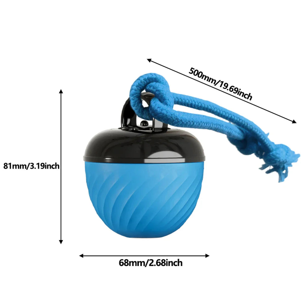 Dailypets Automatic Moving Ball for Pets with USB Rechargeable Interactive Play Fun
