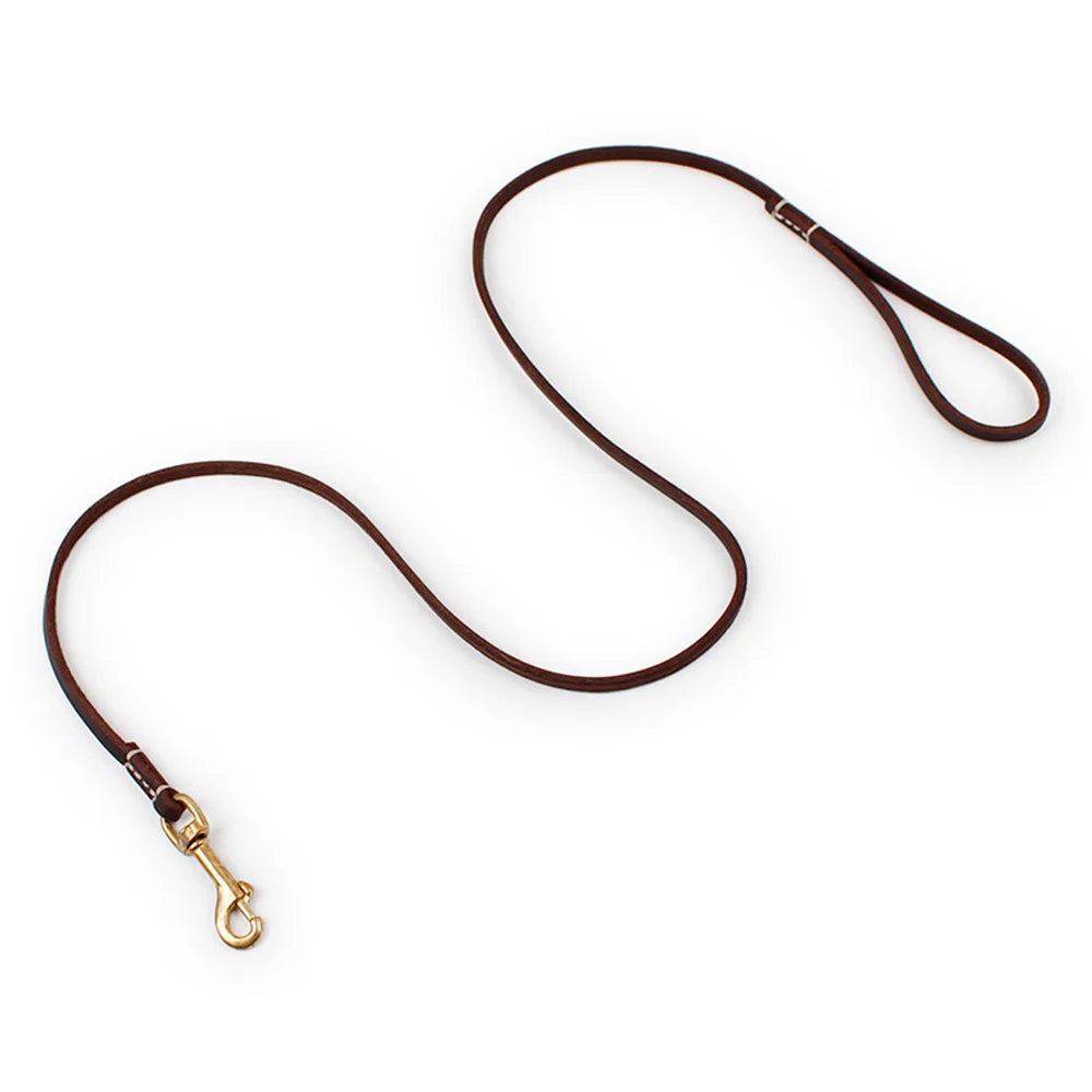 Dailypets Handmade Genuine Leather Pet Leash for Puppies and Cats with Metal Clip