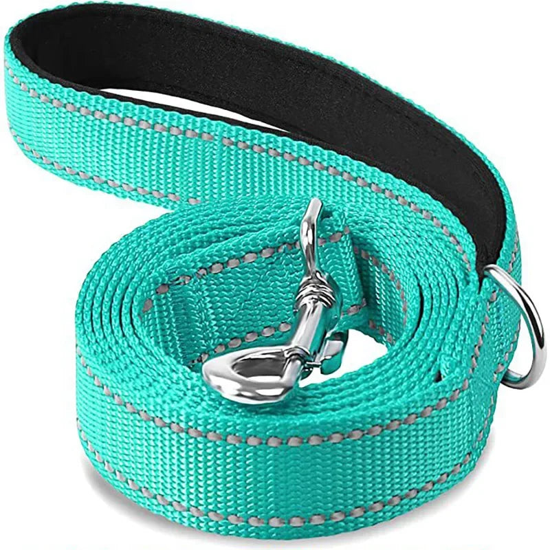 Dailypets Reflective Nylon Dog Leash with Comfortable Grip for Safe Day and Night Walks