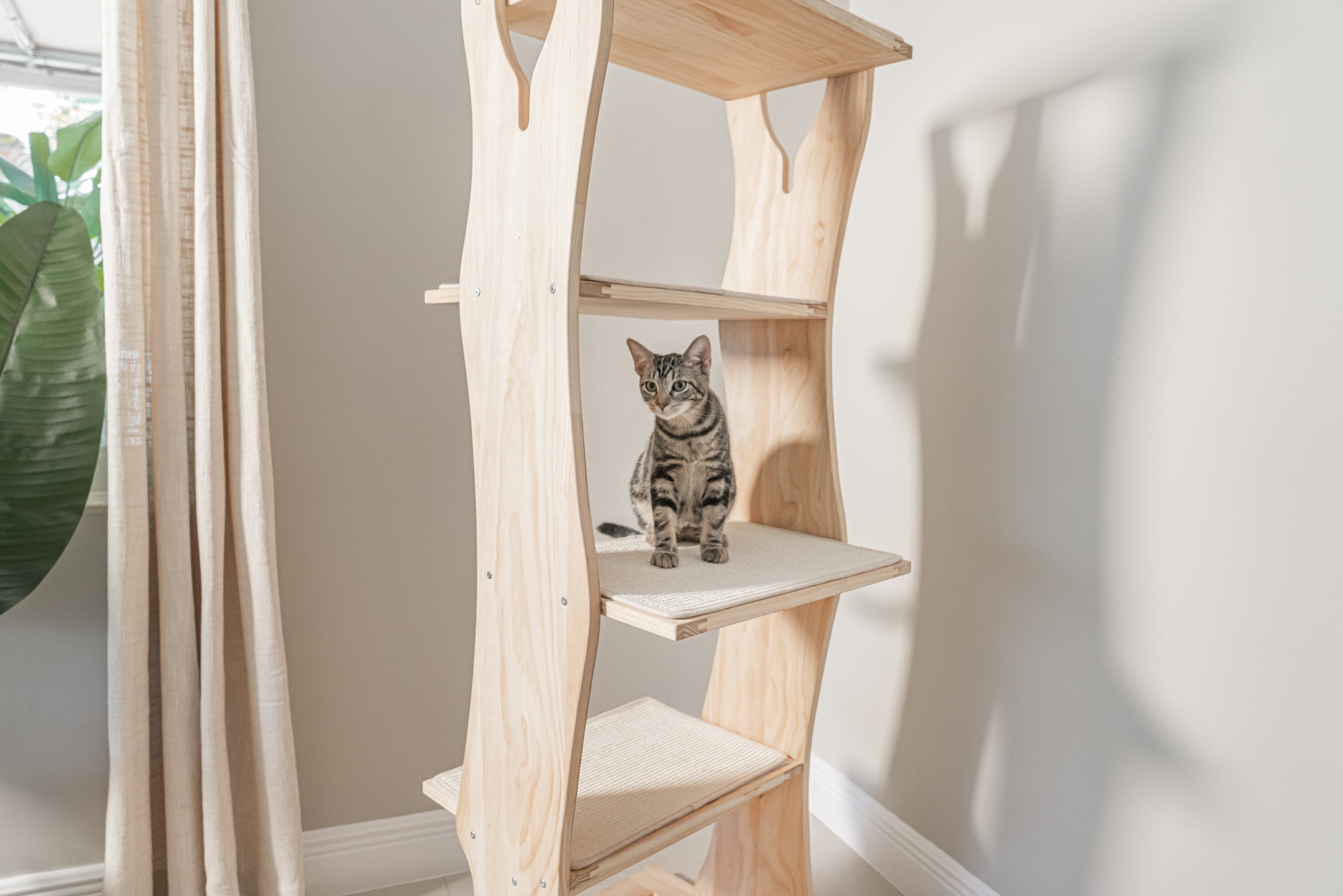 Dailypets Cat Activity Tree, Modern Climbing Tower for Multi-Cat Homes