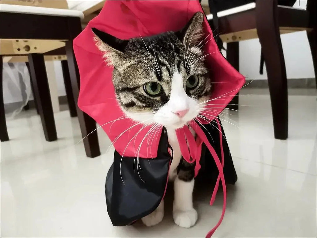 Dailypets Vampire Cat Cape with Dramatic Collar for Halloween and Costume Parties