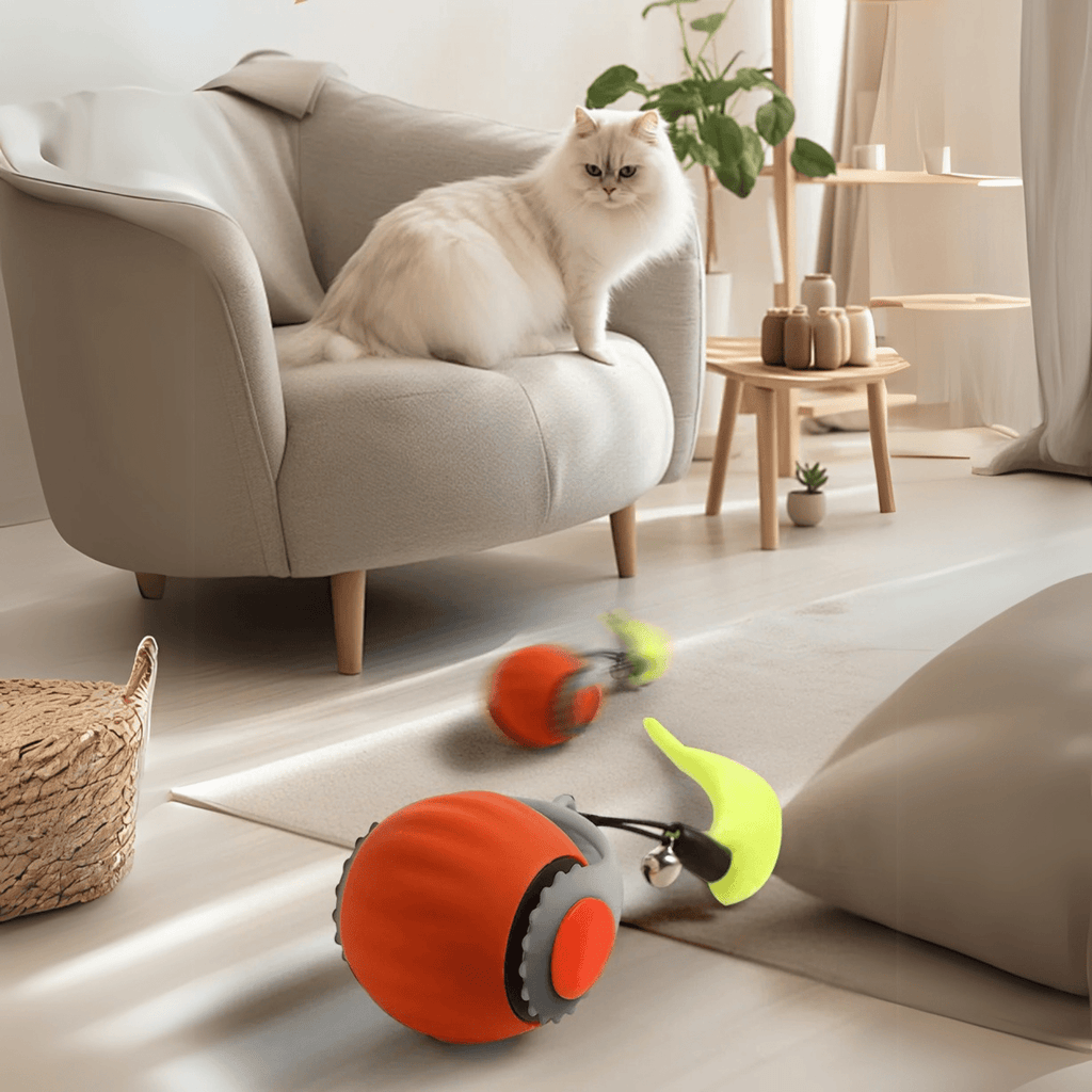 Dailypets Automatic Rolling Ball Toy for Cats with Motion Sensor & Bird Sound Play