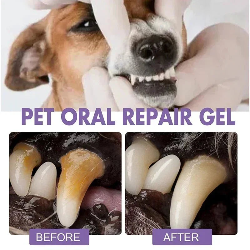 Dailypets Natural Pet Dental Care Pen for Dogs and Cats with Fresh Breath Formula