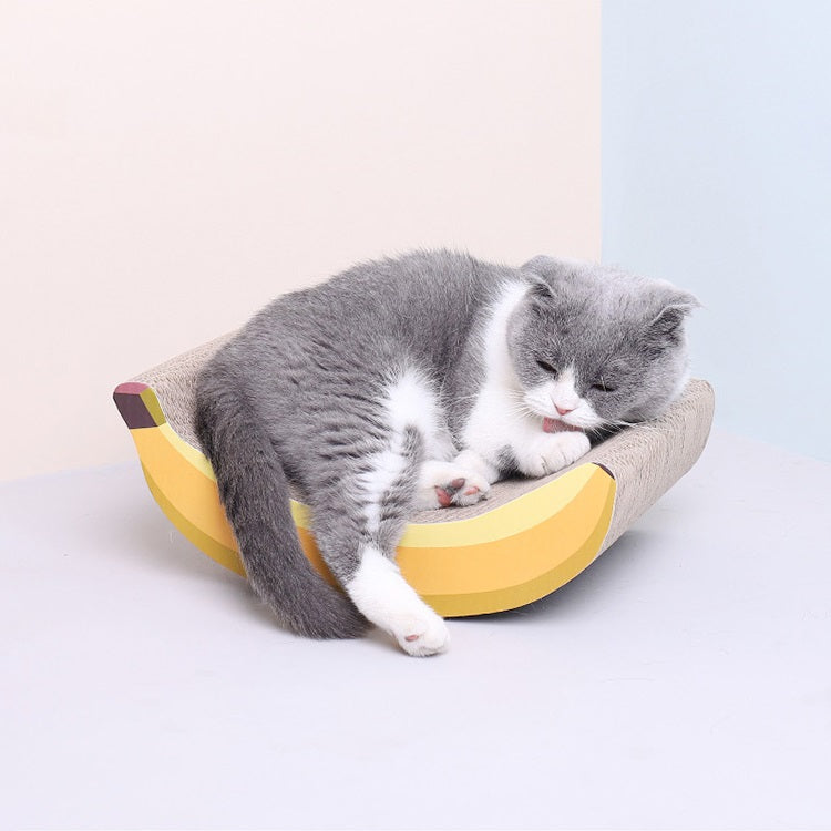 Dailypets Cat Scratcher Blind Box Assorted Scratch Toy Surprise
