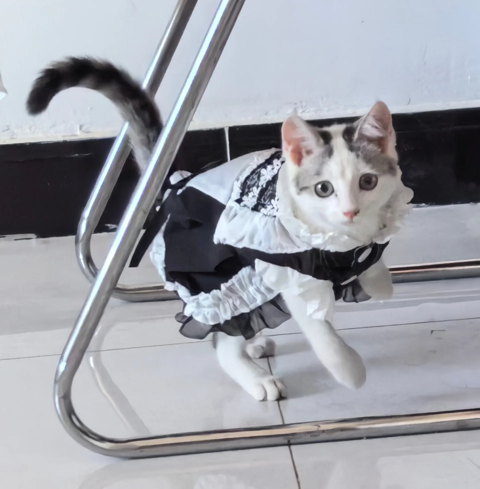 Dailypets Vintage-Inspired Maid Cat Dress with Frills and Decorative Apron Style