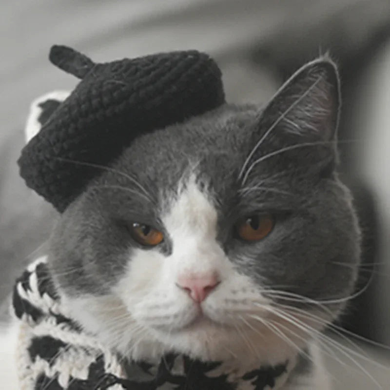 Dailypets Artist Beret and Plaid Scarf Set for Stylish Indoor Cats